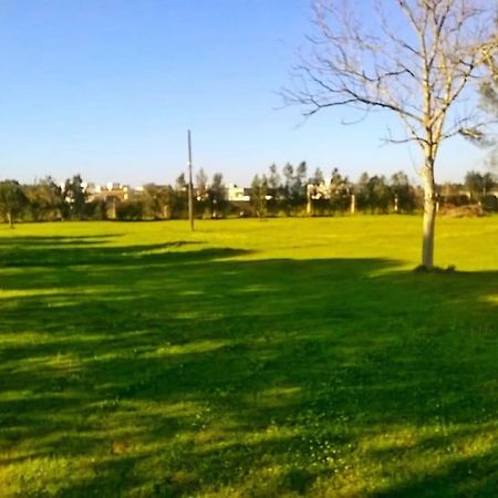 Villa Chorion Corigliano dʼOtranto Buitenkant foto