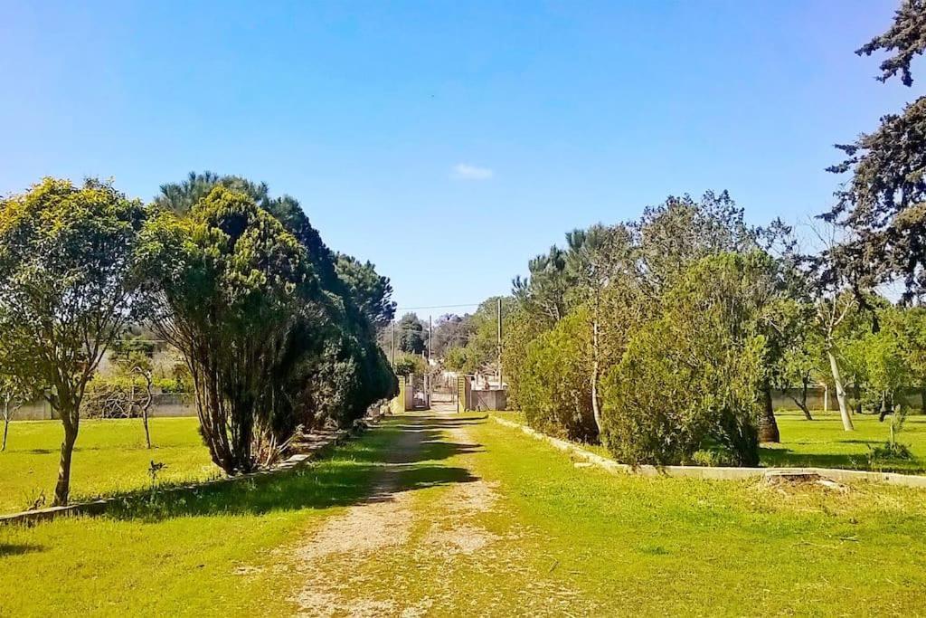 Villa Chorion Corigliano dʼOtranto Buitenkant foto